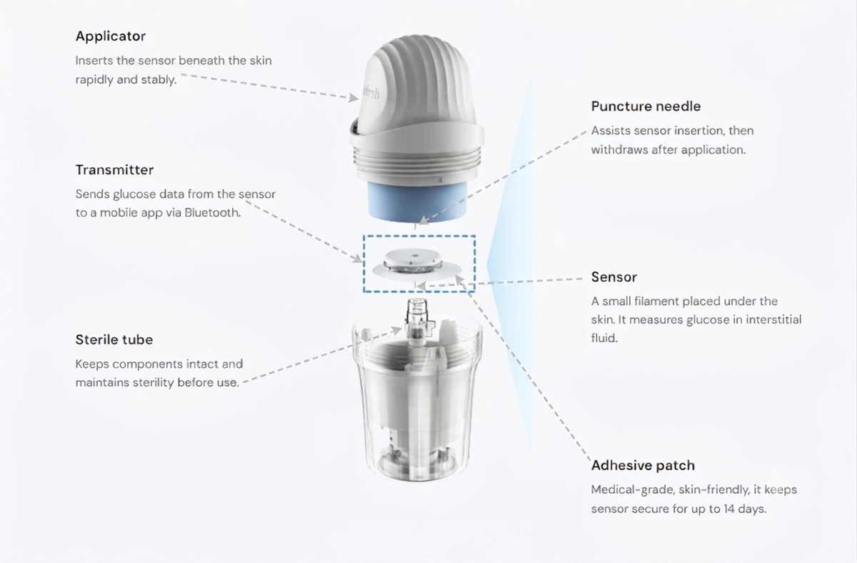 Exploded view of the EverCheck continuous glucose monitor system components: applicator, transmitter, sensor, puncture needle, adhesive patch, and sterile tube, showing how each CGM part works together for reliable glucose monitoring.